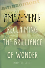 Title: Amazement: Reclaiming the Brilliance of Wonder, Author: Hughes & Havick