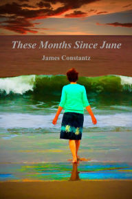 Title: These Months Since June, Author: James Constantz