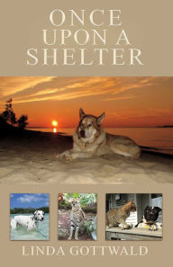 Title: Once Upon a Shelter, Author: Linda Gottwald