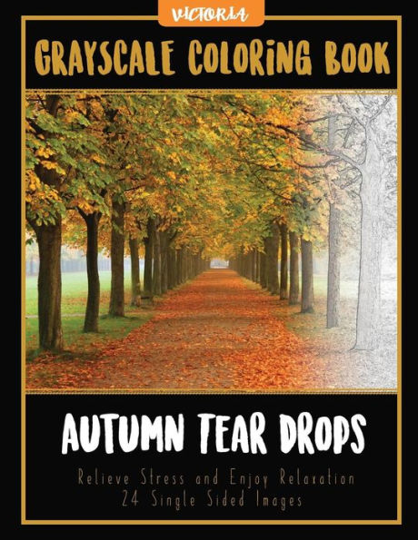 Autumn Tear Drops Landscapes: Grayscale Coloring Book Relieve Stress and Enjoy Relaxation 24 Single Sided Images