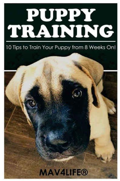 Puppy Training: 10 Tips to Train Your Puppy from 8 Weeks On!