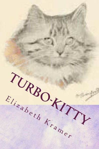 Turbo-Kitty: Story 3