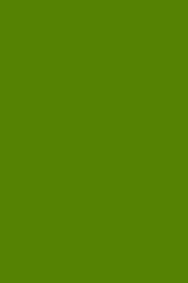 Journal Avocado Green Color Simple Plain Notebook Diary Journal Avocado Green Color Simple Plain Notebook Diary Blank Book By Distinctive Journals Paperback Barnes Le