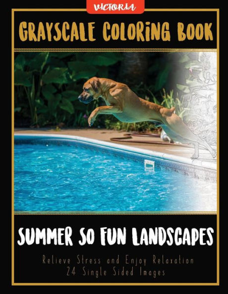 Summer So Fun Landscapes: Grayscale Coloring Book Relieve Stress and Enjoy Relaxation 24 Single Sided Images