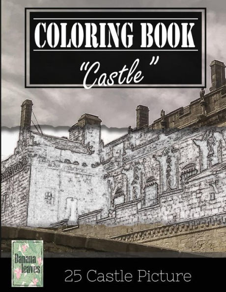Castle History Architechture Greyscale Photo Adult Coloring Book, Mind Relaxation Stress Relief: Just added color to release your stress and power brain and mind, coloring book for adults and grown up, 8.5" x 11" (21.59 x 27.94 cm)