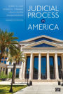 Judicial Process in America / Edition 11