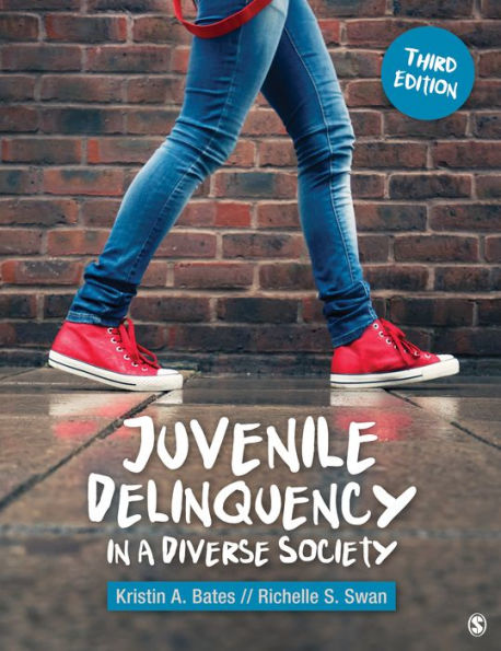 Juvenile Delinquency in a Diverse Society / Edition 3