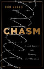 Chasm: A Deep Journey into Meaning and Wholeness