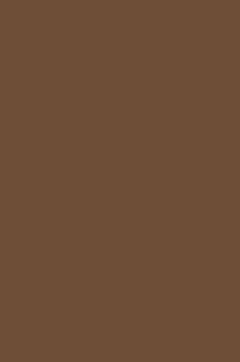 Journal Coffee Brown Color Simple Plain Notebook Diary Journal Coffee Brown Color Simple Plain Notebook Diary Blank Book By Distinctive Journals Paperback Barnes Le