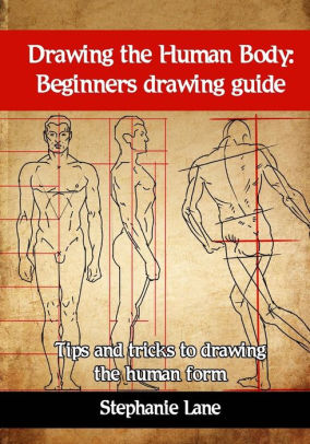 drawing human body for beginners