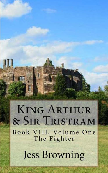 King Arthur & Sir Tristram: The Fighter