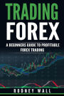 Trading Forex: Trading Forex: A Beginners Guide To Profitable Forex Trading