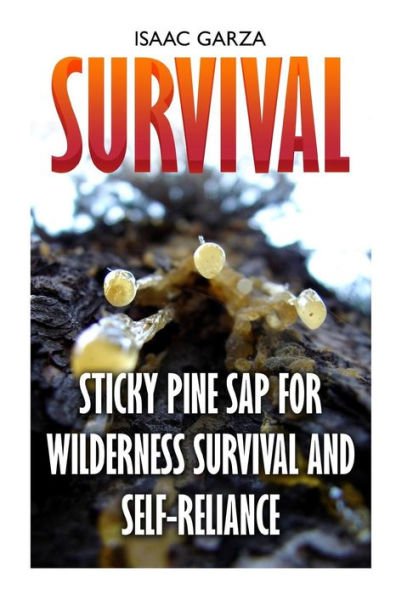 Survival: Sticky Pine Sap For Wilderness Survival And Self-Reliance