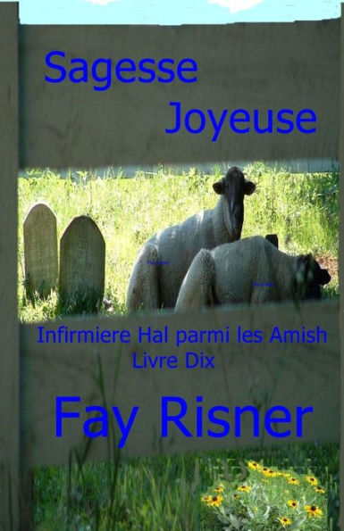 Sagesse Joyeuse: Infermiere Hal parmi les Amish