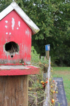 Rustic Handmade Weathered Red Wooden Birdhouse On A Fence Post