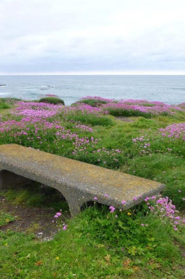 A Rustic Stone Bench Overlooking The Pacific Ocean Oregon Journal