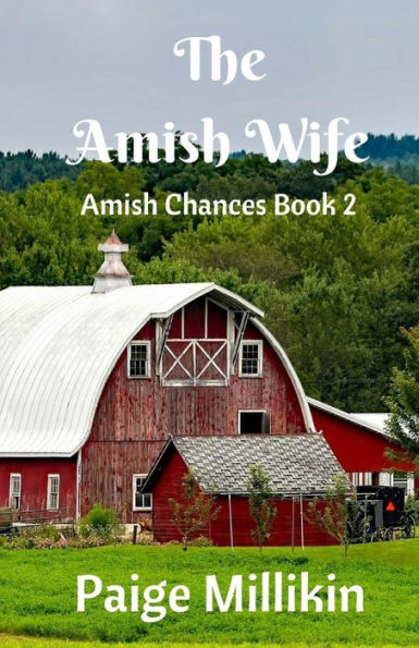 The Amish Wife: Amish Chances Book 2