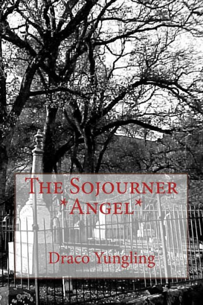 The Sojourner *Angel*