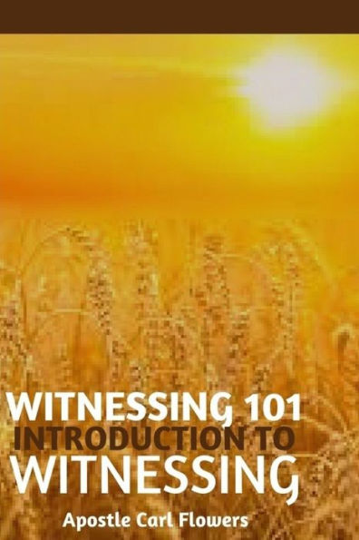 Witnessing 101: Introduction to Witnessing