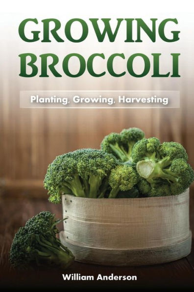 Broccoli Growing: Planting, Growing, Harvesting