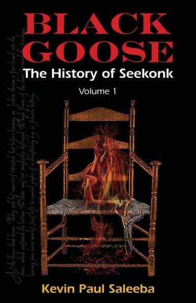 Black Goose: : The History of Seekonk, Vol. 1