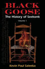 Black Goose: : The History of Seekonk, Vol. 1