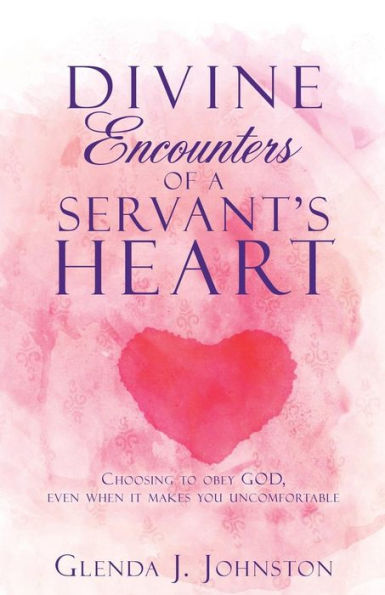 Divine Encounters of a Servant's Heart