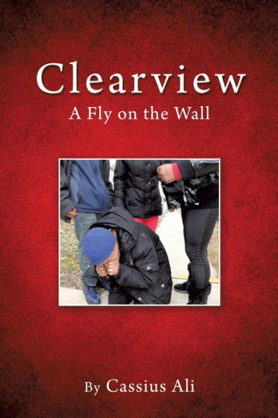 Clearview: A Fly on the Wall