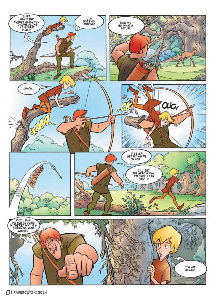 Disney Classic Graphic Novel: the Sword Stone