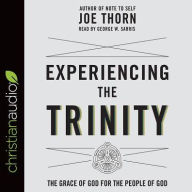 Title: Experiencing the Trinity: The Grace of God for the People of God, Author: Joe Thorn