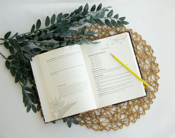 A Yearlong Journey Through the Bible: 52-Week Bible Study for Dwelling God's Word