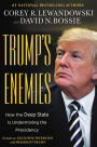 Trump's Enemies: How the Deep State Is Undermining the Presidency