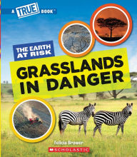 Title: Grasslands in Danger (A True Book: The Earth at Risk), Author: Felicia Brower
