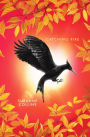 Alternative view 2 of Catching Fire (Deluxe Edition) (Hunger Games Series #2)