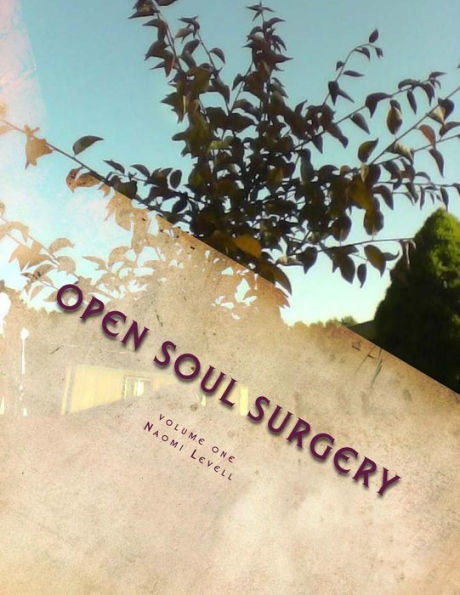 Volume One, Open Soul Surgery, deluxe large print color edition: The Seer