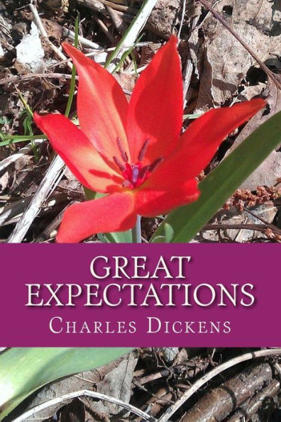 Great Expectations