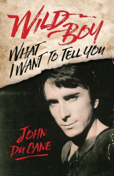 Wild Boy: What I Want To Tell You