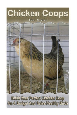 Chicken Coops Build Your Perfect Chicken Coop On A Budget And