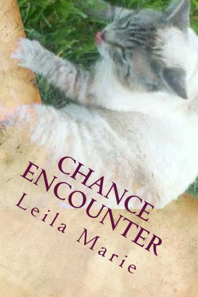 Chance Encounter: The Journey Emerald's Travels