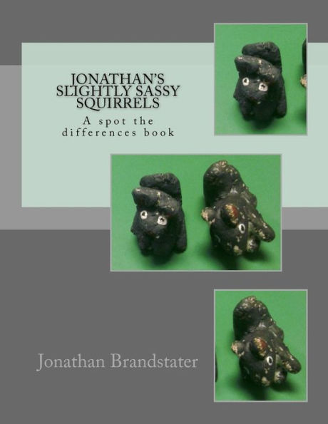 Jonathan's slightly sassy squirrels: A spot the differences book