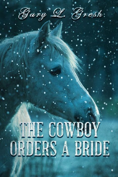 The Cowboy Orders A bride: Twin Fork Series