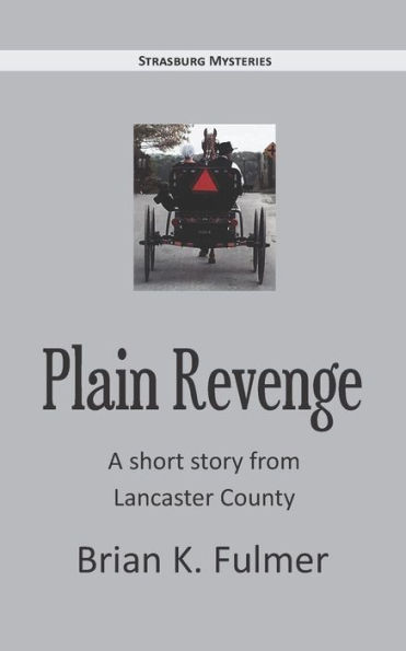 Plain Revenge: A short story taken from Lancaster County