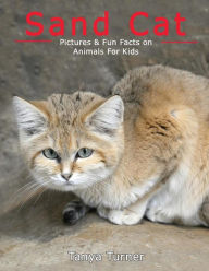 Title: Sand Cat: Pictures & Fun Facts on Animals For Kids, Author: Ideaspun