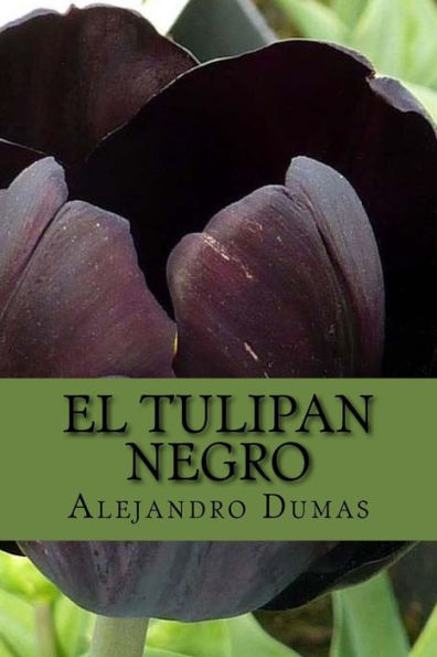 El Tulipan Negro (Spanish) Edition