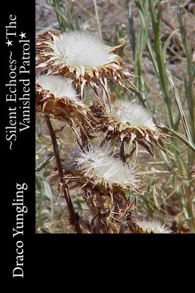 Silent Echoes *The Vanished Patrol*