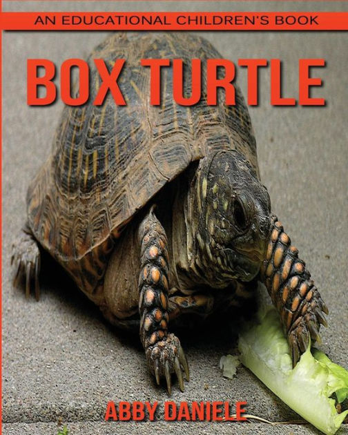 Box Turtle! An Educational Children's Book about Box Turtle with Fun ...