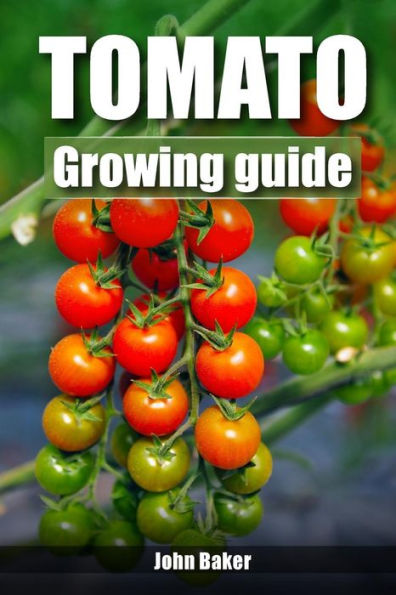 Tomato Growing Guide