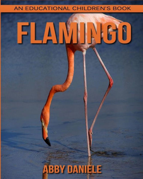 Flamingo! An Educational Children's Book about Flamingo with Fun Facts & Photos