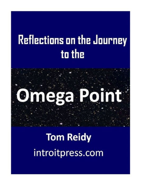 Reflections on the Journey to Omega Point