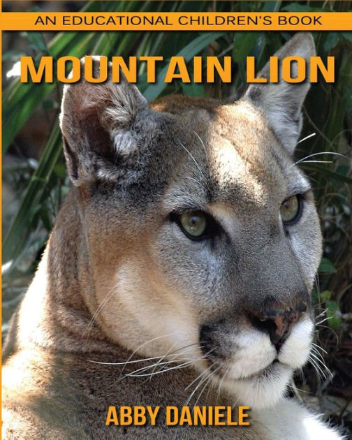 Mountain Lion! An Educational Children's Book about Mountain Lion with ...